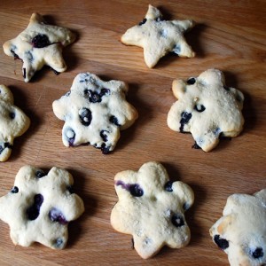 Dr. Seuss inspired... Blueberry Bumplings