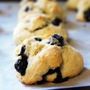 Dr. Seuss inspired... Blueberry Bumplings