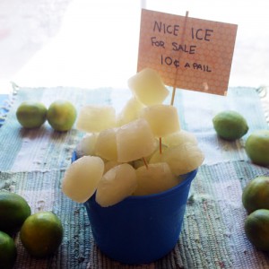 Pail of Nice Lime Ice, Dr. Seuss inspired
