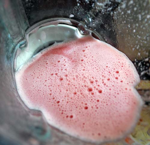 Blended Watermelon