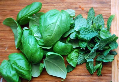 Fresh basil and mint