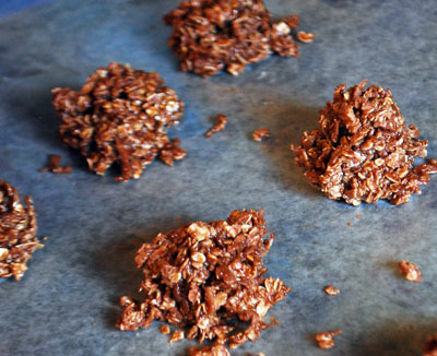 Dropping Chocolate Oatmeal Coconut Cookies