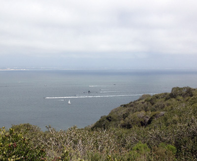 San Diego - spotted a submarine in the waters