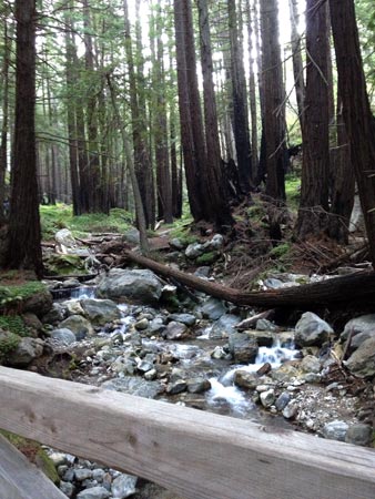 Lime Kiln State Park