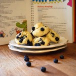 Blueberry Bumplings Dr. Seuss inspired... Blueberry Bumplings