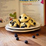 Dr. Seuss inspired... Blueberry Bumplings