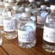Valentine’s Day Love Potion No. 9 Water Bottle Labels – FREE PRINTABLE